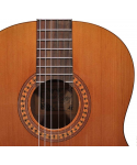 Salvador Cortez DC-22-SN Classical guitar 7/8