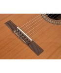 Salvador cortez cc-22l chitarra classica 4/4 mancina