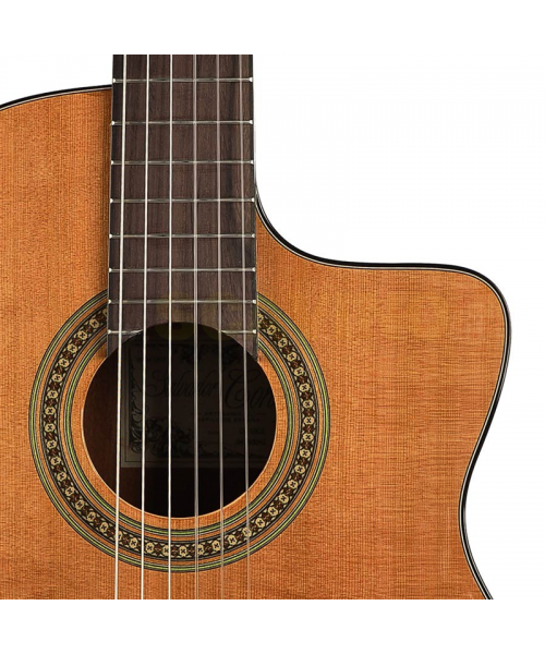 Salvador cortez cc-10ce classical guitar 4/4 electrified