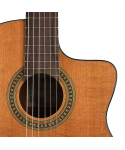 Salvador cortez cc-10ce classical guitar 4/4 electrified
