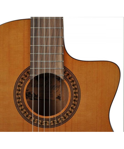 Salvador cortez cc-22ce chitarra classica 4/4 elettrificata