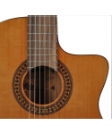 Salvador Cortez DC-22ce classic 4/4 electric guitar