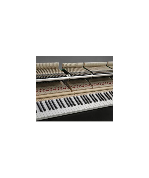half tail piano Yamaha mod. PGB1KPM shiny mahogany