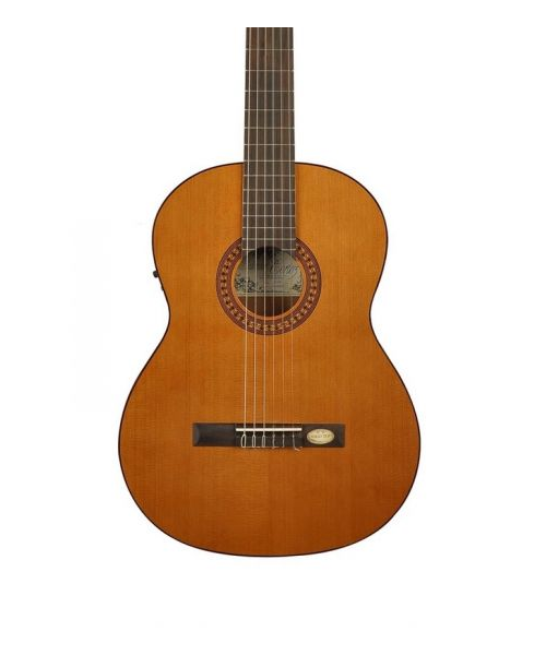 Salvador Cortez DC-22nd classic 4/4 electrified guitar