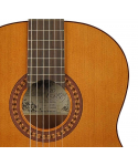 Salvador cortez cc-22e chitarra classica 4/4 elettrificata
