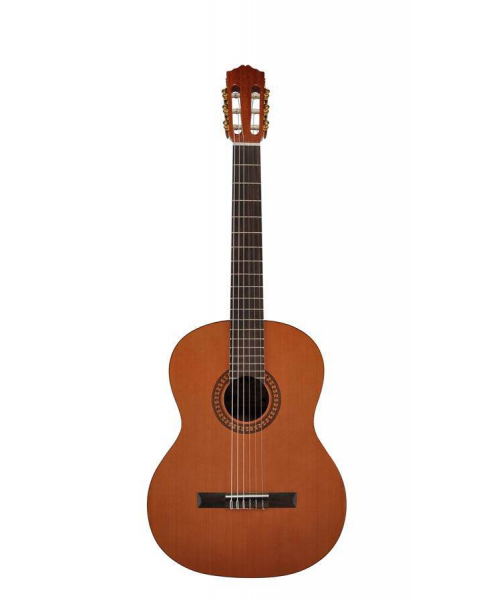 Salvador cortez cc-22e chitarra classica 4/4 elettrificata