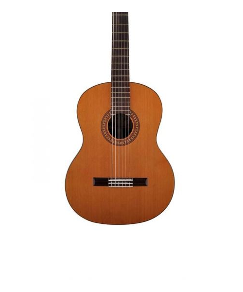 Salvador Cortez DC-50 Classic Guitar 4/4