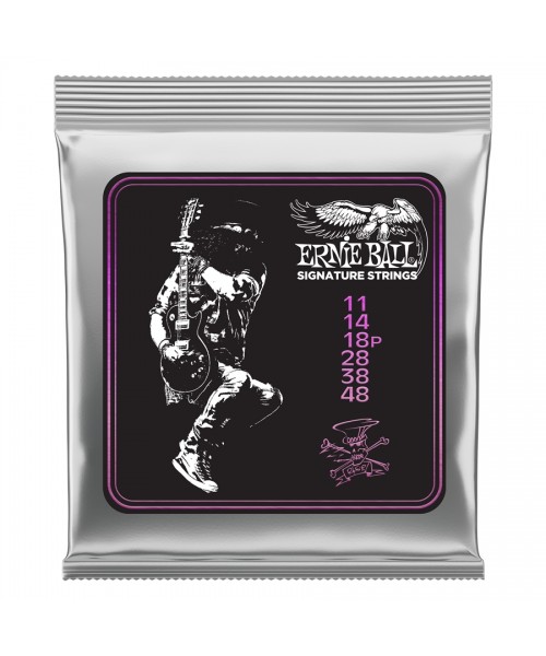 Ernie Ball 3820 Limited Edition Slam Signature