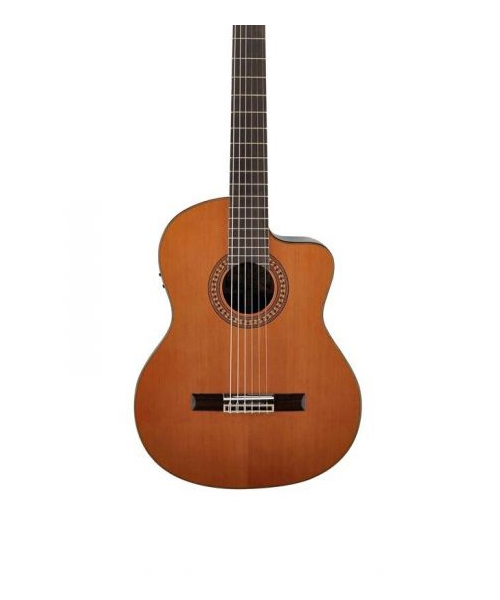 Salvador Cortez DC-60ce classic 4/4 electric guitar