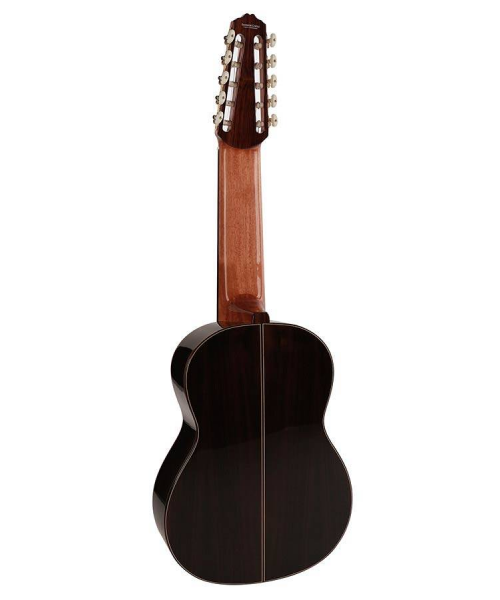 Salvador Cortez CS-60-10 classic guitar 10 strings