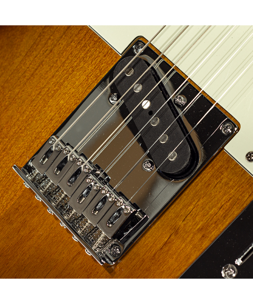 SCHECTER PT R66 WILLIAMS S/S-3TSB