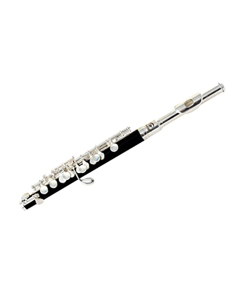 Flute Small Soundsation SFP-10 Silver Black