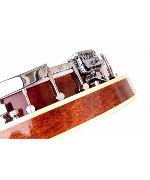 Banjo FBJ-25 5 strings