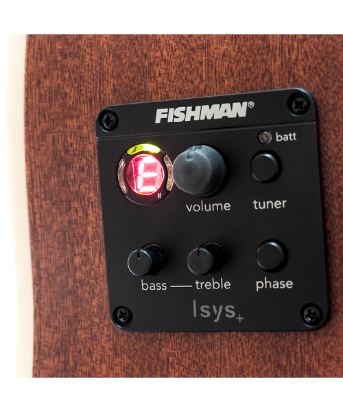 CHITARRA ACUSTICA GOLDWOOD DREADNOUGHT CTW EQ NAT SATINATA