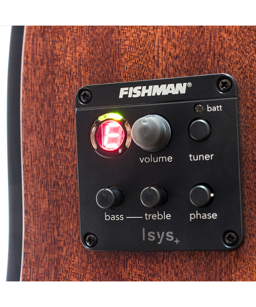 GOLDWOOD Grand Auditorium CTW EQ NAT shiny