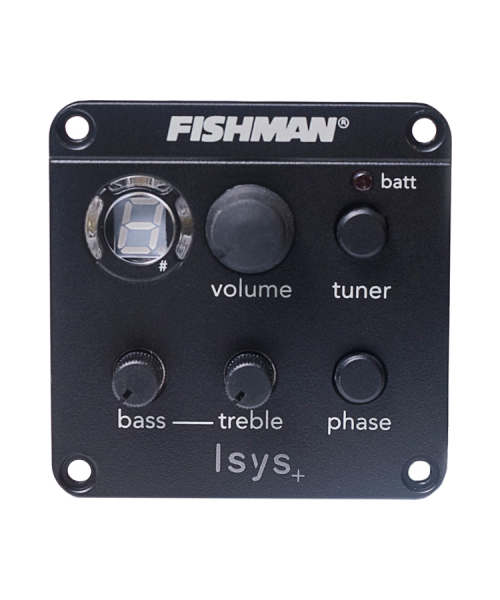 GOLDWOOD Grand Auditorium CTW EQ NAT SATINATA