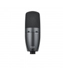 SHURE Beta27 Supercardioid condenser microphone
