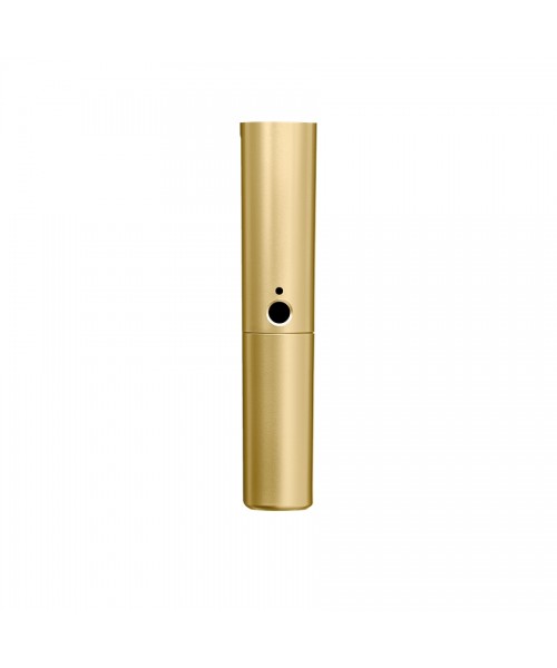 SHURE Wa713-GLD BLX2 gold body with SM58 capsule E Beta58a