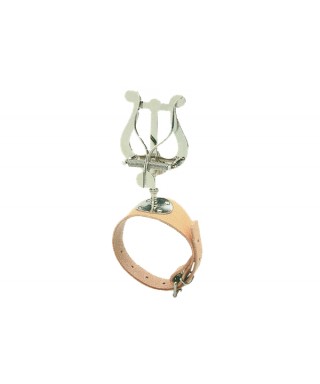 SML PARIS ASM 510N LIRA per flute