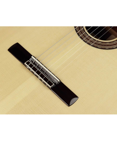 SALVADOR CORTEZ CHITARRA CLASSICA 4/4 CON TASTIERA RIALZATA