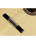 SALVADOR CORTEZ CHITARRA CLASSICA 4/4 CON TASTIERA RIALZATA