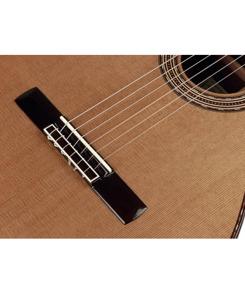 SALVADOR CORTEZ Classic 4/4 guitar with raised keyboard