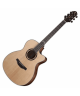 CRAFTER HT-800CE