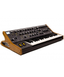 MOOG SUBSEQUENT 37