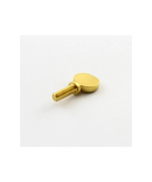 Spare parts for sax alysee screw - 10 pieces