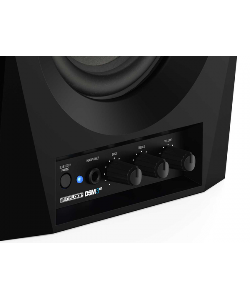 RELOOP DSM-3 bt