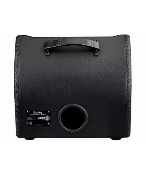 Loyan DH80 electronic battery amplifier