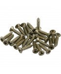 FENDER FENDER Parts Road Worn Pickguard / Control Plate Screws (24) 0997208000