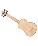 Kala UBASS-BURL-FS - UBASS Burled Tamo Ash elettrificato - c/borsa