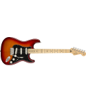 FENDER PLAYER STRATOCASTER PLUS TOP