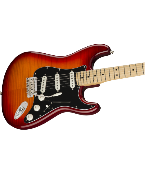 FENDER PLAYER STRATOCASTER PLUS TOP