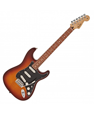 FENDER PLAYER STRATOCASTER PLUS TOP