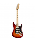 FENDER PLAYER STRATOCASTER PLUS TOP