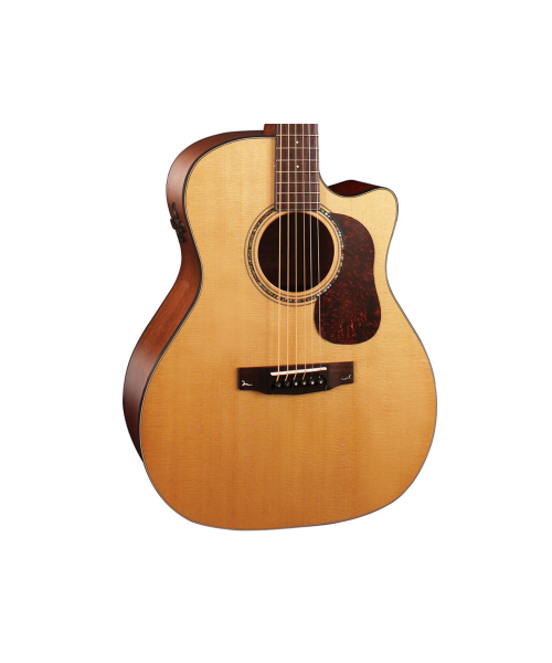 CORT Gold-A6 BOCOTE NAT W / CASE