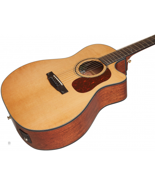 CORT GOLD-A6 BOCOTE NAT W/CASE