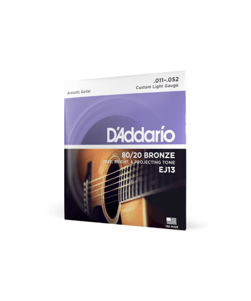 D'ADDARIO EJ13