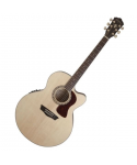 WASHBURN J40 SCE