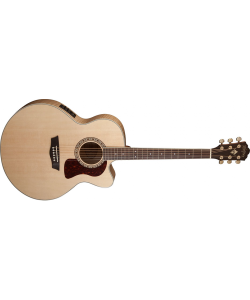 WASHBURN J40 SCE