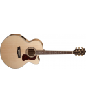 WASHBURN J40 SCE