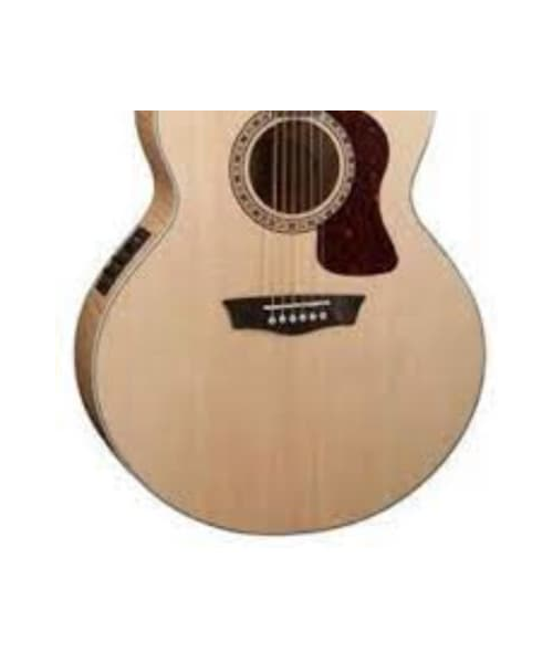 WASHBURN J40 SCE