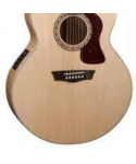 WASHBURN J40 SCE