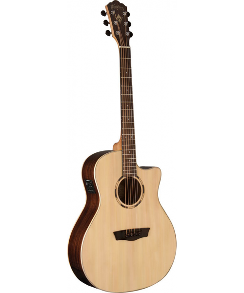 WASHBURN O20 SCE