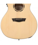 WASHBURN O20 SCE