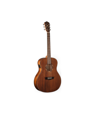 WASHBURN O12 if