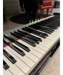 Tailed piano YAMAHA MoD. C7 glossy lacquered black