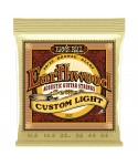 ERNIE BALL 2007 Earthwood Custom Light Bronze 80/20